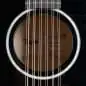 Taylor 250ce-BLK Plus 12-String