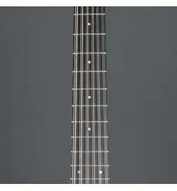 Taylor 250ce-BLK Plus 12-String