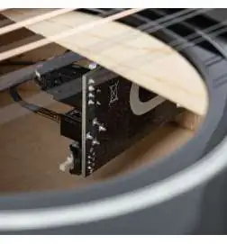 Taylor 250ce-BLK Plus 12-String