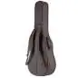 Taylor 250ce-BLK Plus 12-String
