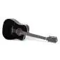 Taylor 250ce-BLK Plus 12-String