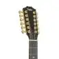 Taylor 264ce-K DLX 12-String