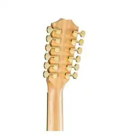 Taylor 264ce-K DLX 12-String