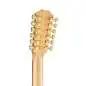 Taylor 264ce-K DLX 12-String