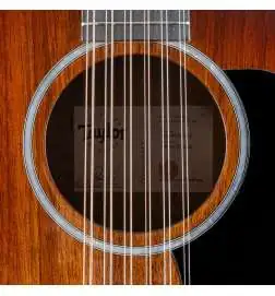 Taylor 264ce-K DLX 12-String
