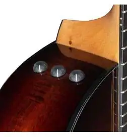 Taylor 264ce-K DLX 12-String