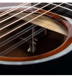 Taylor 264ce-K DLX 12-String