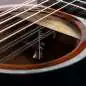 Taylor 264ce-K DLX 12-String