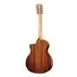 Taylor 254ce Plus 12-String