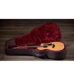 Taylor 254ce Plus 12-String