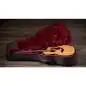 Taylor 254ce Plus 12-String