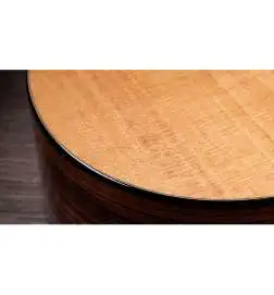 Taylor 254ce Plus 12-String