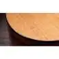 Taylor 254ce Plus 12-String