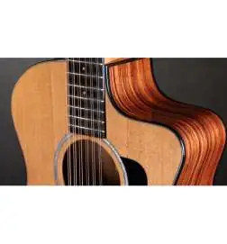 Taylor 254ce Plus 12-String