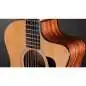Taylor 254ce Plus 12-String