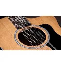 Taylor 254ce Plus 12-String