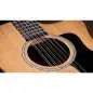 Taylor 254ce Plus 12-String
