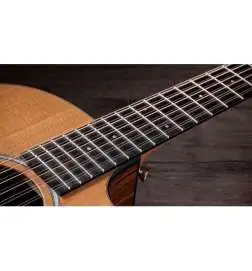 Taylor 254ce Plus 12-String