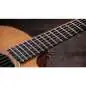 Taylor 254ce Plus 12-String