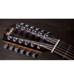 Taylor 254ce Plus 12-String