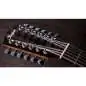 Taylor 254ce Plus 12-String