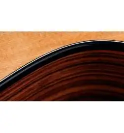 Taylor 254ce Plus 12-String