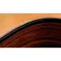 Taylor 254ce Plus 12-String