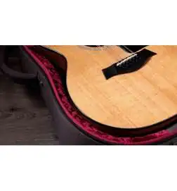 Taylor 254ce Plus 12-String