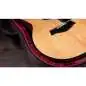 Taylor 254ce Plus 12-String