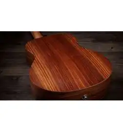 Taylor Sunset Blvd GS Mini-e