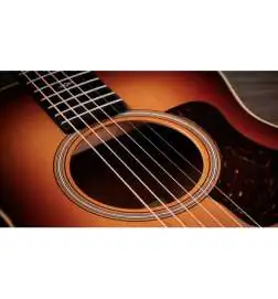 Taylor Sunset Blvd GS Mini-e
