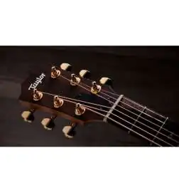 Taylor Sunset Blvd GS Mini-e