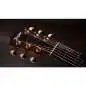 Taylor Sunset Blvd GS Mini-e