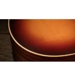 Taylor Sunset Blvd GS Mini-e