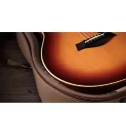 Taylor Sunset Blvd GS Mini-e