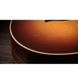 Taylor GS Mini-e Rosewood SB