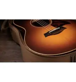 Taylor GS Mini-e Rosewood SB