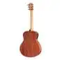 Taylor GS Mini-e Special Edition Dragon Art Top Taylor GS Mini-e Special Edition Dragon Art Top