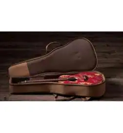 Taylor GS Mini-e Special Edition Dragon Art Top