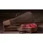 Taylor GS Mini-e Special Edition Dragon Art Top Taylor GS Mini-e Special Edition Dragon Art Top