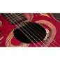 Taylor GS Mini-e Special Edition Dragon Art Top Taylor GS Mini-e Special Edition Dragon Art Top