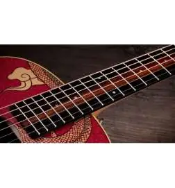 Taylor GS Mini-e Special Edition Dragon Art Top