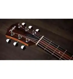 Taylor GS Mini-e Special Edition Dragon Art Top