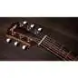 Taylor GS Mini-e Special Edition Dragon Art Top Taylor GS Mini-e Special Edition Dragon Art Top
