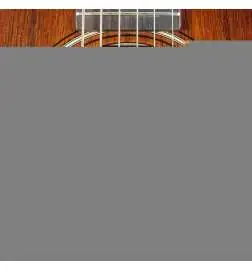Taylor GS Mini-e Koa Plus
