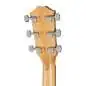 Taylor Academy 12 Lefthand