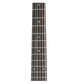 Taylor Academy 12 Lefthand