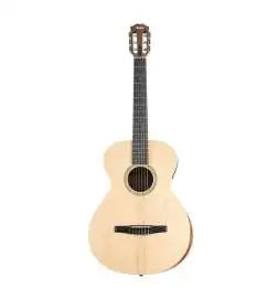 Taylor Academy 12e-N Lefthand