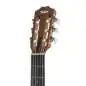 Taylor Academy 12e-N Lefthand