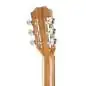 Taylor Academy 12e-N Lefthand
